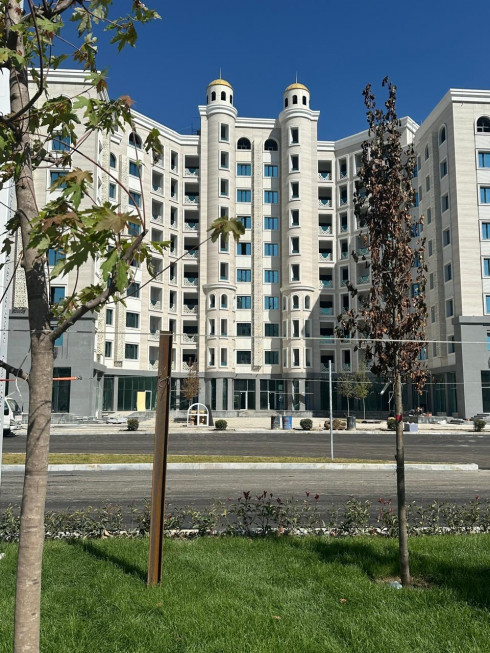 3-х комнатная квартира в Дубайском доме за 80.000 за кв/м